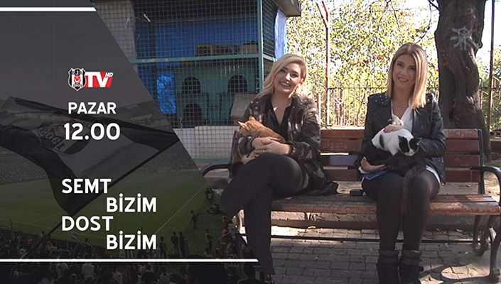 Beşiktaş TV, hayvan hakları için kolları sıvadı