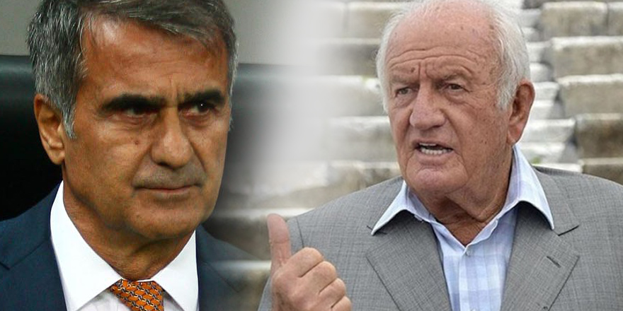 Ali Şen'den Şenol Güneş yorumu