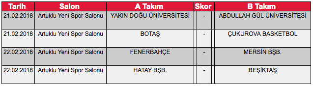 ekran-resmi-2018-01-14-20.22.48.png