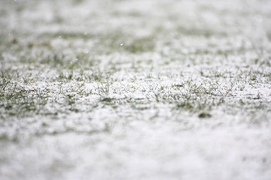 Boluspor - Beşiktaş maçından kareler - Görsel 12