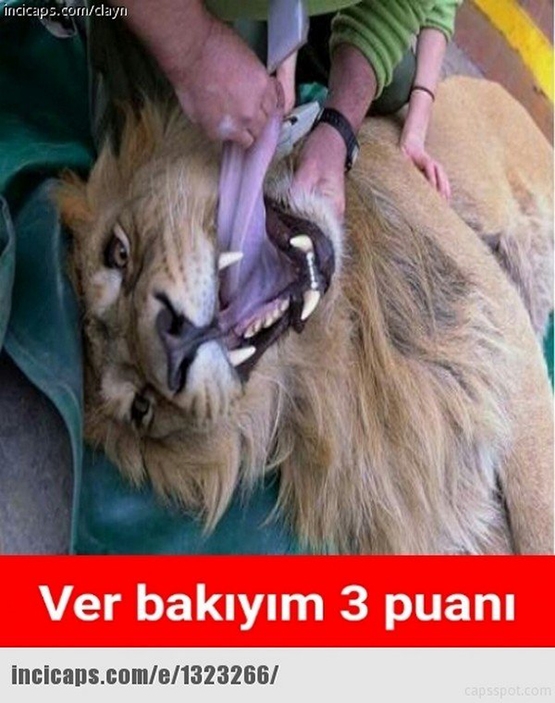 İşte Galatasaray - Beşiktaş derbisi sonrası güldüren capsler - Görsel 24