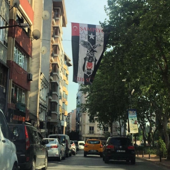 FOTO GALERİ | Beşiktaş bayrakları Türkiye'yi süslüyor - Görsel 116