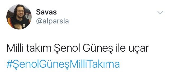 Şenol Güneş'in Milli Takım'a gitmesini umanların attığı 11 komik tweet - Görsel 10