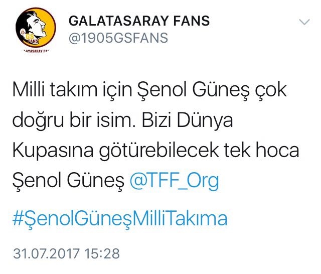Şenol Güneş'in Milli Takım'a gitmesini umanların attığı 11 komik tweet - Görsel 11