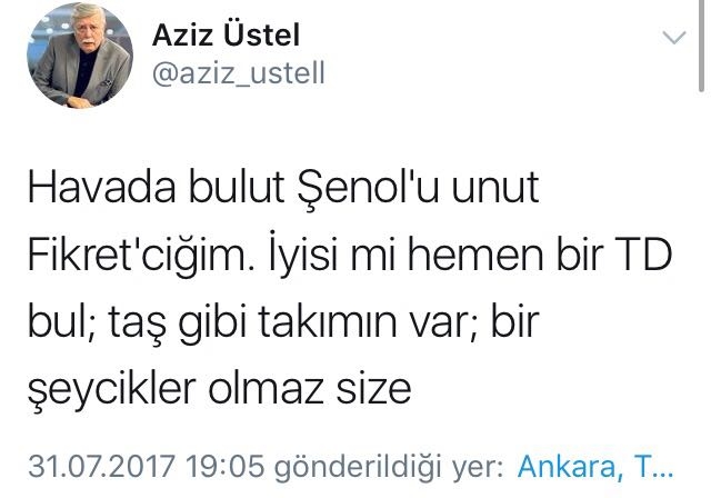 Şenol Güneş'in Milli Takım'a gitmesini umanların attığı 11 komik tweet - Görsel 2