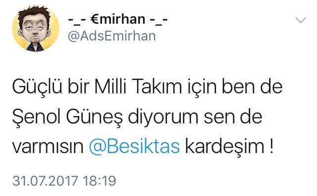 Şenol Güneş'in Milli Takım'a gitmesini umanların attığı 11 komik tweet - Görsel 5