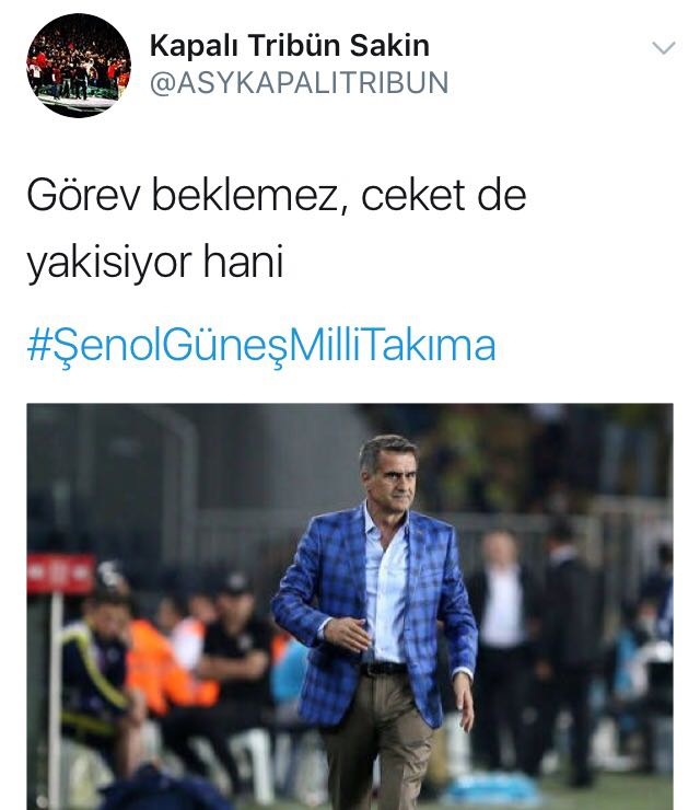 Şenol Güneş'in Milli Takım'a gitmesini umanların attığı 11 komik tweet - Görsel 8