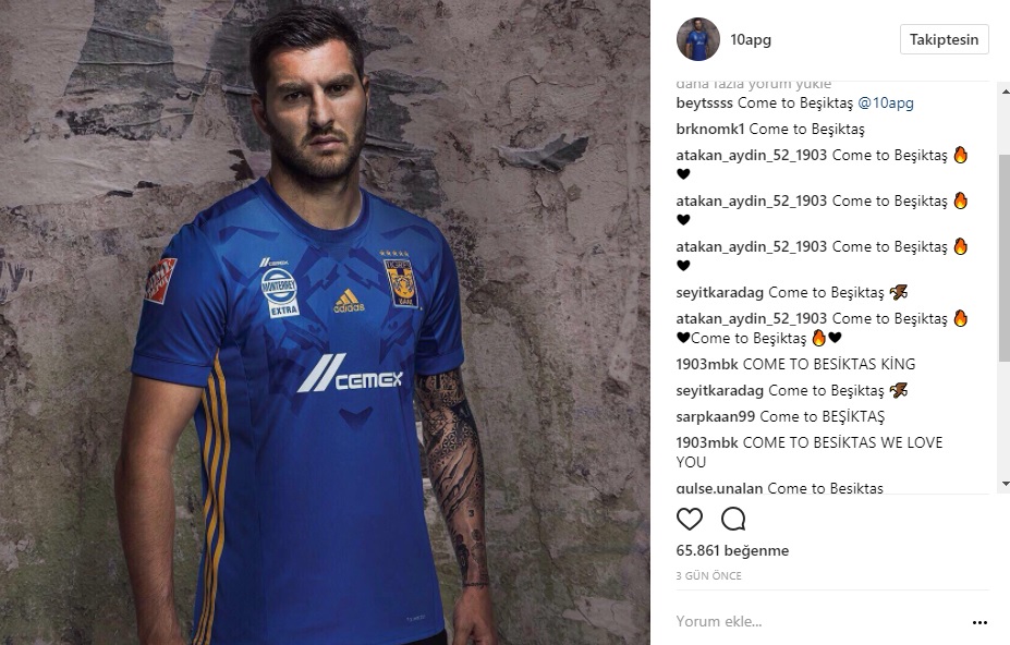 gigi-001.jpg gigi-001.jpg