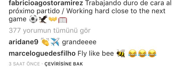 gt-005.jpg gt-005.jpg