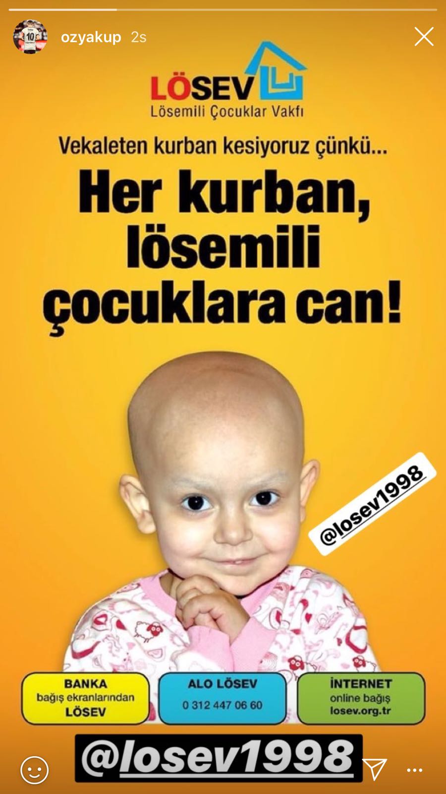 hh-007.jpg hh-007.jpg