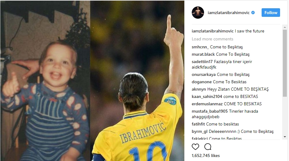 ibovic.jpg ibovic.jpg