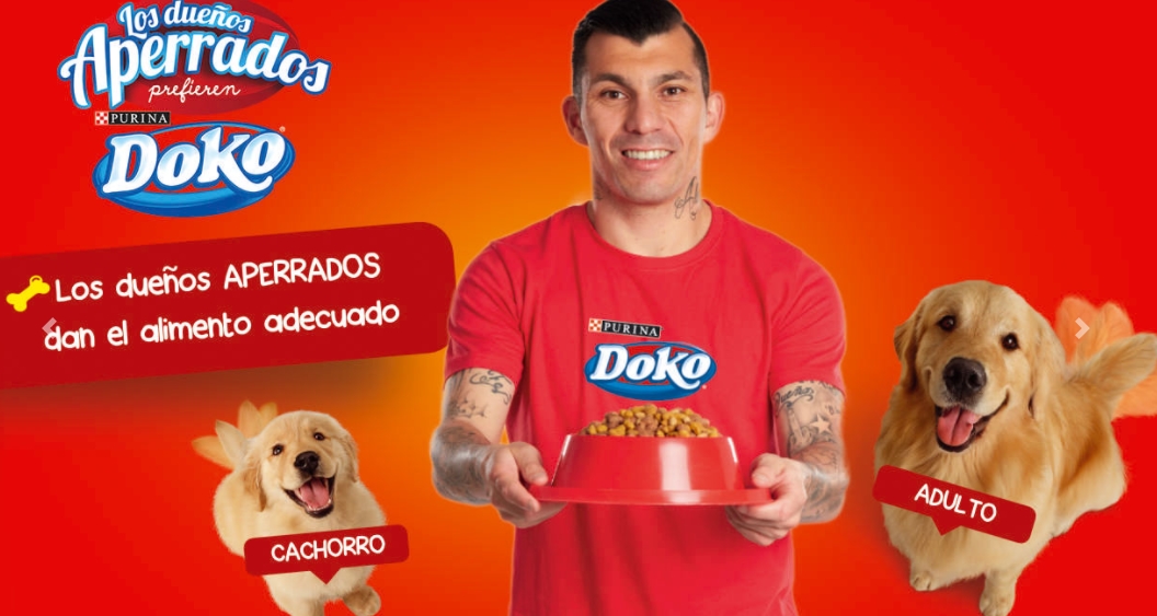 medel-001.jpg medel-001.jpg