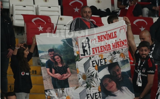 pp-013.jpg pp-013.jpg