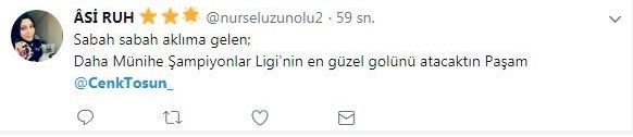 Everton'a transferi konuşulan Cenk Tosun'la ilgili yorumlar - Görsel 8