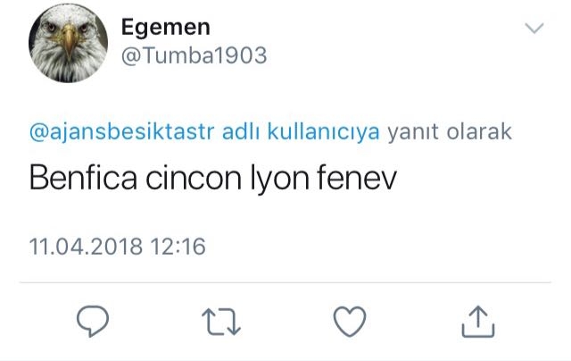 2. Yaşını kutlayan Vodafone Park’ta en unutamadığınız maç hangisiydi? - Görsel 10