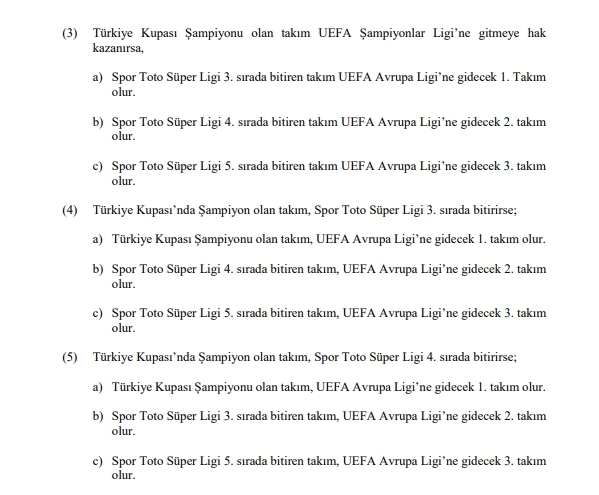 2018 – 2019 SPOR TOTO SÜPER LİG LEFTER KÜÇÜKANDONYADİS SEZONU MÜSABAKALARI STATÜSÜ - Görsel 19