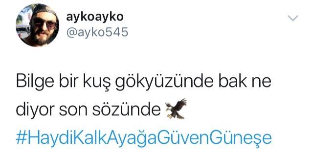 Beşiktaş taraftarından mesaj: #HaydiKalkAyağaGüvenGüneşe - Görsel 5