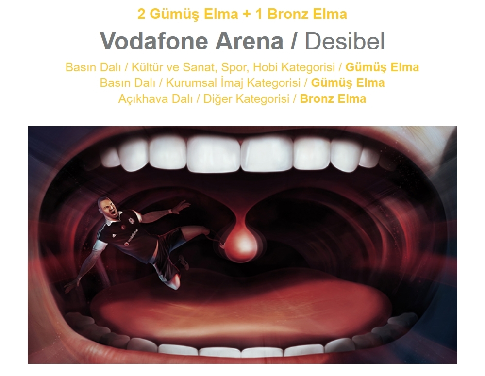 Vodafone Arena'ya 17 ödül - Görsel 4
